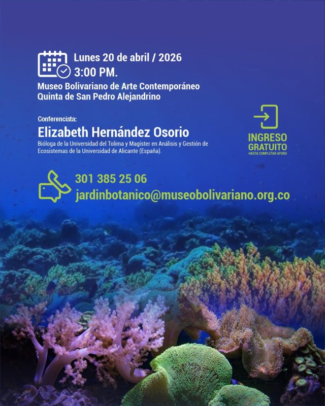 671202949_18540347434067276_4752676924519847387_n